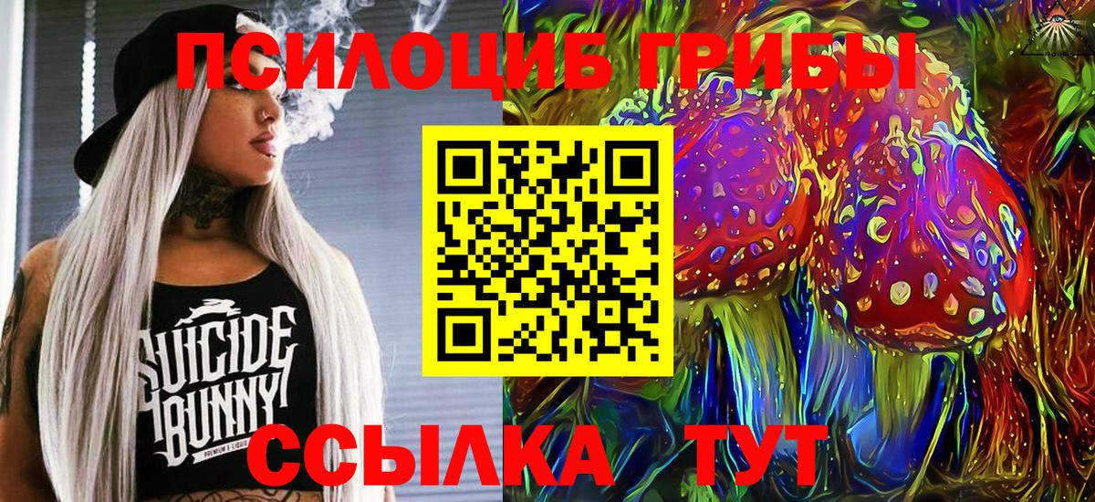 Галлюциногенные грибы Psilocybine cubensis  Вход с VPN  Псилоцибиновые грибы Psilocybe  Кириши 
