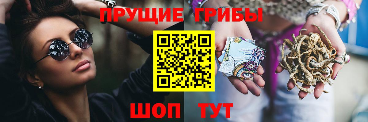 Псилоцибиновые грибы MAGIC MUSHROOMS Кириши